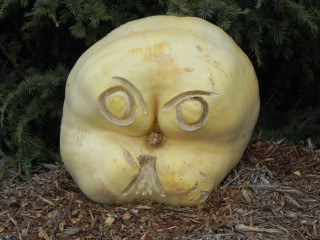 Predator III, Nipomo Pumpkin Patch best carving idea